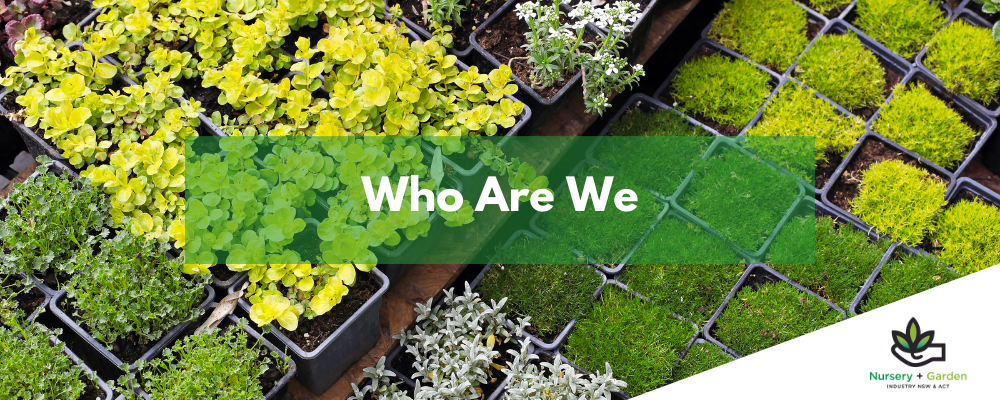 ABOUT US-Jan-24-2023-02-32-56-9124-AM ABOUT US-Jan-24-2023-02-32-56-9124-AM